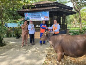 Idul Adha 1444 H, Indocement Salurkan Bantuan Ratusan Hewan Kurban