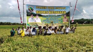 Produksi Padi Desa Pembelacanan Meningkat, Sekda Kotabaru Beri Apresiasi