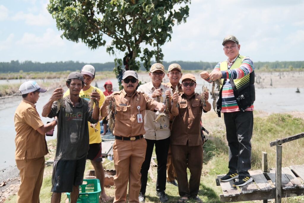 Tambak Warga Sukses, Bupati Kotabaru Boyong Jajarannya Panen Udang dan Ikan