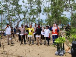 Maknai Hari Lingkungan Hidup 2024, 10 Ribu Bibit Mangrove Ditanam di Pesisir Kotabaru