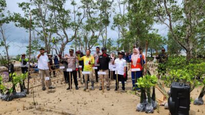 Maknai Hari Lingkungan Hidup 2024, 10 Ribu Bibit Mangrove Ditanam di Pesisir Kotabaru