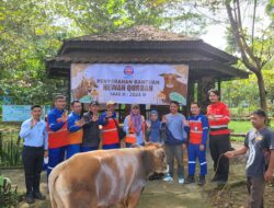 Berbagi Kebahagiaan di Idul Adha 1445 H, Indocement Tebar Ratusan Hewan Kurban