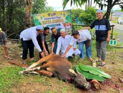 Top! Keluarga Besar Leting 29 Polres Kotabaru Rela Patungan & Berbagi Daging Hewan Kurban di Pesisir