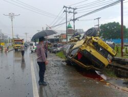 Braak! Honda BR-V vs Teruk CPO Adu Banteng di Kotabaru