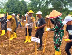 Polres Kotabaru Dukung Penuh Program Kapolri Tanam Jagung Sejuta Hektar