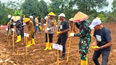 Polres Kotabaru Dukung Penuh Program Kapolri Tanam Jagung Sejuta Hektar