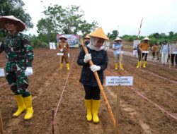 Suwanti Dukung Program Ketahanan Pangan di Kotabaru
