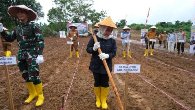 Suwanti Dukung Program Ketahanan Pangan di Kotabaru