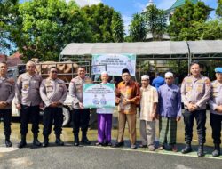 Hari ini, Polres Korabaru Salurkan Hewan Qurban ke Tokoh Agama & Masyarakat