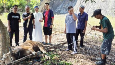 Pemkab Salurkan Hewan Qurban ke Insan Pers di Kotabaru