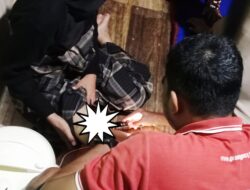 Geger! Seorang Gadis di Pulau Sembilan Kotabaru Digigit Anjing Liar, Warga Khawatir Terpapar Rabies