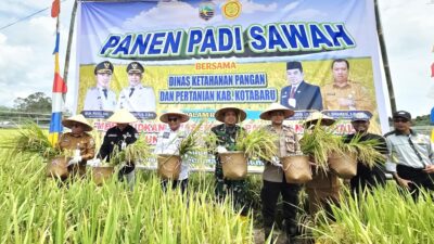 Dukung Program Presiden Prabowo, Poktan di Bumi Asih Kotabaru Sukses Panen Raya Padi Sawah