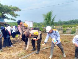 Bukti Nyata Dukung Ketahanan Pangan Nasional, Polsek Kelumpang Barat Kotabaru Serentak Tanam Jagung