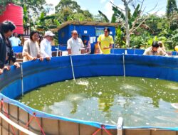 Perusahaan Tambang Bareng Dinas Perikanan Kotabaru Dorong Peningkatan Produktivitas Budidaya Ikan Nila & Haruan