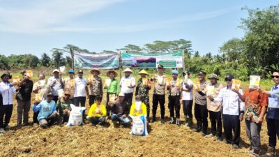 Dukung Ketahanan Pangan Nasional, Polsek Pulau Laut Tengah & Petani Tanam Jagung Serentak di Desa Semisir