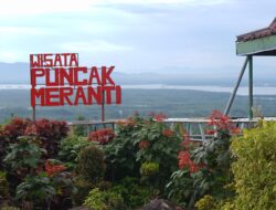 Destinasi Ekowisata Hutan Meranti Kotabaru Menawarkan Pesona Alam dan Fasilitas Memadai