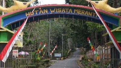 Pesona Hutan Meranti: Dari Wisata Alam Hingga Jadi Destinasi Favorit Perhelatan Event