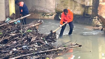 BPBD Peringatkan Warga Pesisir Pulau Laut Waspadai Cuaca Ekstrem Plus Banjir Rob