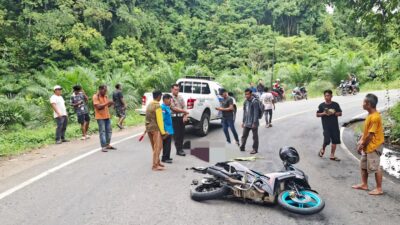 Laka Maut di Tikungan S Magalau Kotabaru; Seorang Wanita Tewas di Tempat