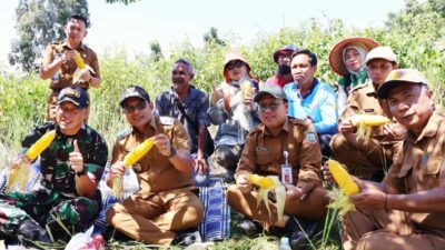 Pemkab Kotabaru Komitmen Dukung Ketahanan Pangan Nasional