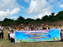 Jajaran Polsek Pulau Laut Utara Turun Tangan Dukung Program Swasembada Pangan Kotabaru