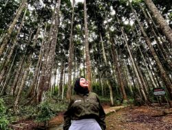 Konten Kreator Asal Kaltim Kagumi Keindahan Wisata Hutan Meranti Putih Kotabaru