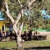 Duh, Oknum Guru SD Diduga Tega Bully Sesama Rekan Kerjanya; Disdikbud Kotabaru Turun Tangan!