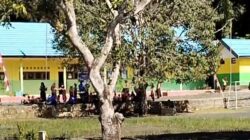 Duh, Oknum Guru SD Diduga Tega Bully Sesama Rekan Kerjanya; Disdikbud Kotabaru Turun Tangan!