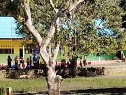 Duh, Oknum Guru SD Diduga Tega Bully Sesama Rekan Kerjanya; Disdikbud Kotabaru Turun Tangan!
