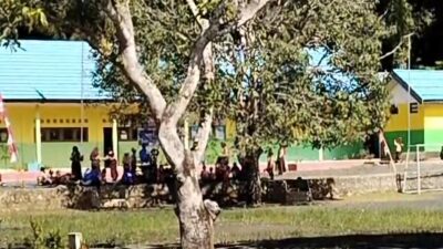 Duh, Oknum Guru SD Diduga Tega Bully Sesama Rekan Kerjanya; Disdikbud Kotabaru Turun Tangan!