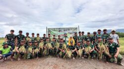Top! Kompi Pertanian Yonif TP 884/Saijaan Sukses Panen Padi Perdana Seluas 1 Hektar