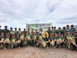 Top! Kompi Pertanian Yonif TP 884/Saijaan Sukses Panen Padi Perdana Seluas 1 Hektar