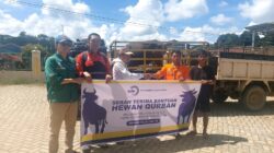 Jelang Idul Adha, PT Sumber Data Energi Salurkan 31 Ekor Sapi Kurban untuk Masyarakat Lingkar Tambang
