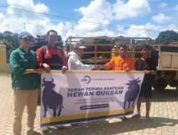 Jelang Idul Adha, PT Sumber Data Energi Salurkan 31 Ekor Sapi Kurban untuk Masyarakat Lingkar Tambang