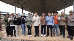 Wamenko Pangan Tinjau KSPEAN Kalsel: Model Integrasi Sawit-Sapi Tanah Bumbu Jadi Role Model Nasional