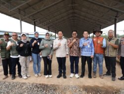 Wamenko Pangan Tinjau KSPEAN Kalsel: Model Integrasi Sawit-Sapi Tanah Bumbu Jadi Role Model Nasional