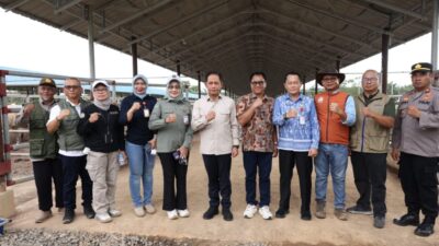 Wamenko Pangan Tinjau KSPEAN Kalsel: Model Integrasi Sawit-Sapi Tanah Bumbu Jadi Role Model Nasional