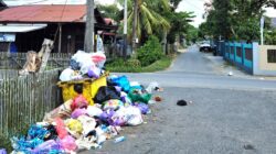 Warga di Pusat Kotabaru Mengeluh Bau Sampah, Kadis LH Buka Suara
