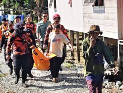 Akhirnya, Bocah 8 Tahun di Sungai Cantung Kotabaru Disambar Buaya Ditemukan Meninggal Dunia