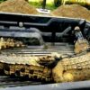 Bikin Geger Warga Buaya 3 Meter Muncul di Sungai Melangkaian Kotabaru 