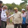 Bupati Tinjau Langsung Pembagunan Jalan Tembus Jembatan Pulau Laut