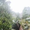Kabar Baik, Gunung Ulin Kotabaru Diguyur Hujan Lebat