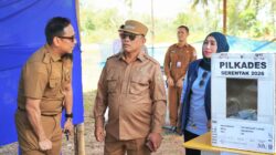 41 Desa di Kotabaru Gelar Pilkades Serentak
