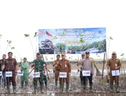 Sambut HUT ke-81 TNI, Pemkab dan Kodim 1022/TNB Tanam 1.000 Mangrove di Pesisir Tanah Bumbu